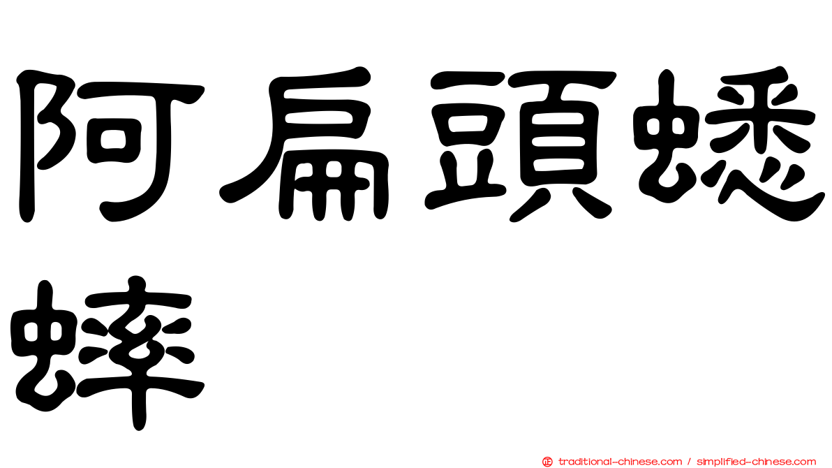 阿扁頭蟋蟀