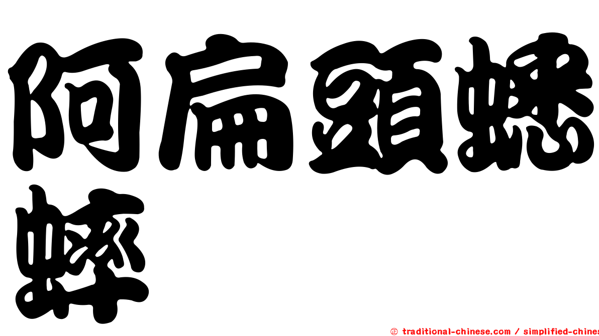 阿扁頭蟋蟀