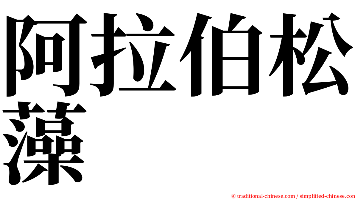阿拉伯松藻 serif font