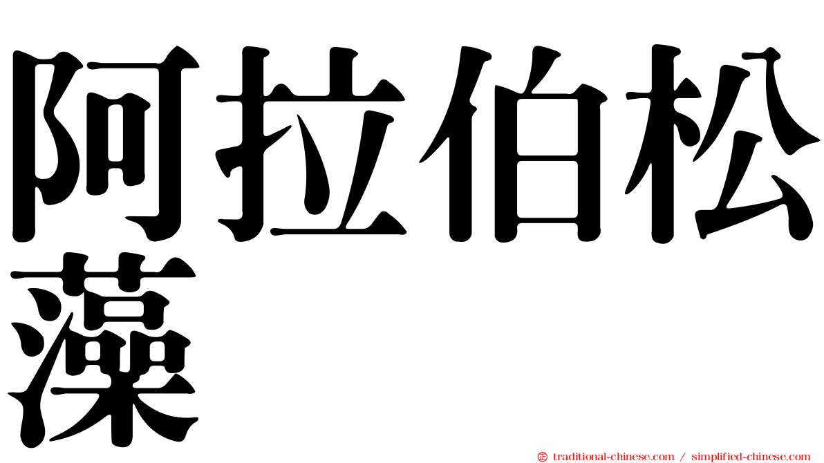 阿拉伯松藻