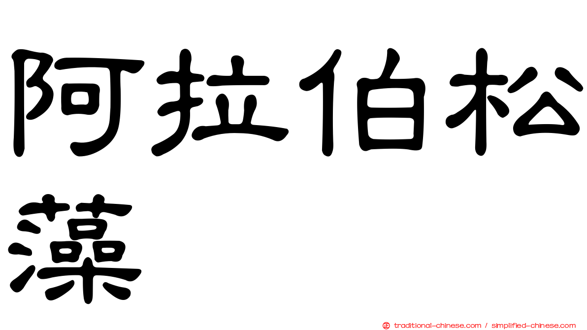 阿拉伯松藻