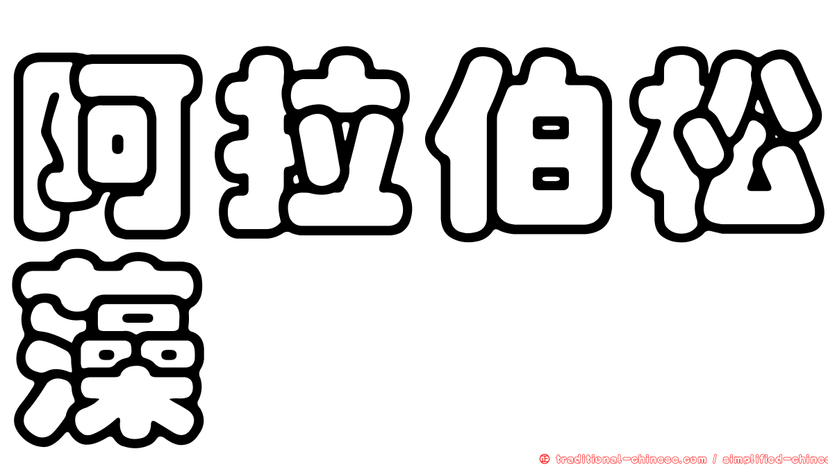 阿拉伯松藻