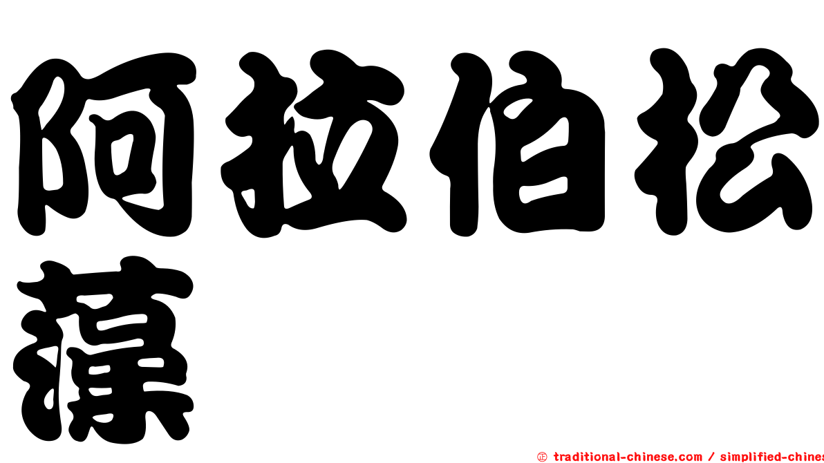 阿拉伯松藻