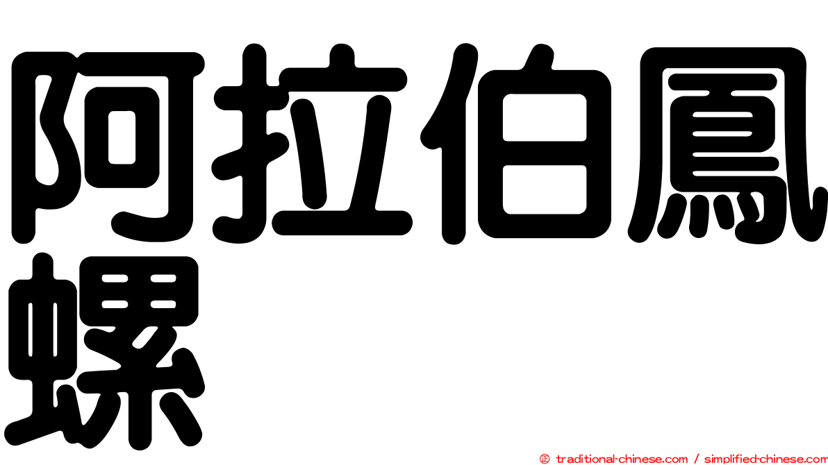 阿拉伯鳳螺