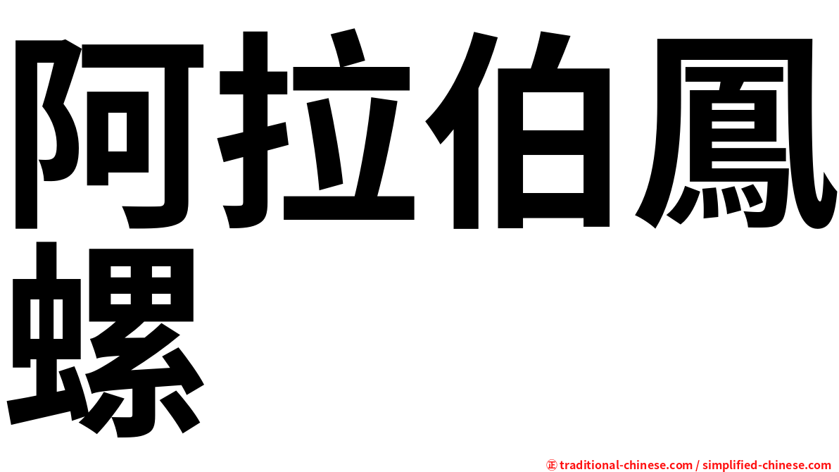 阿拉伯鳳螺
