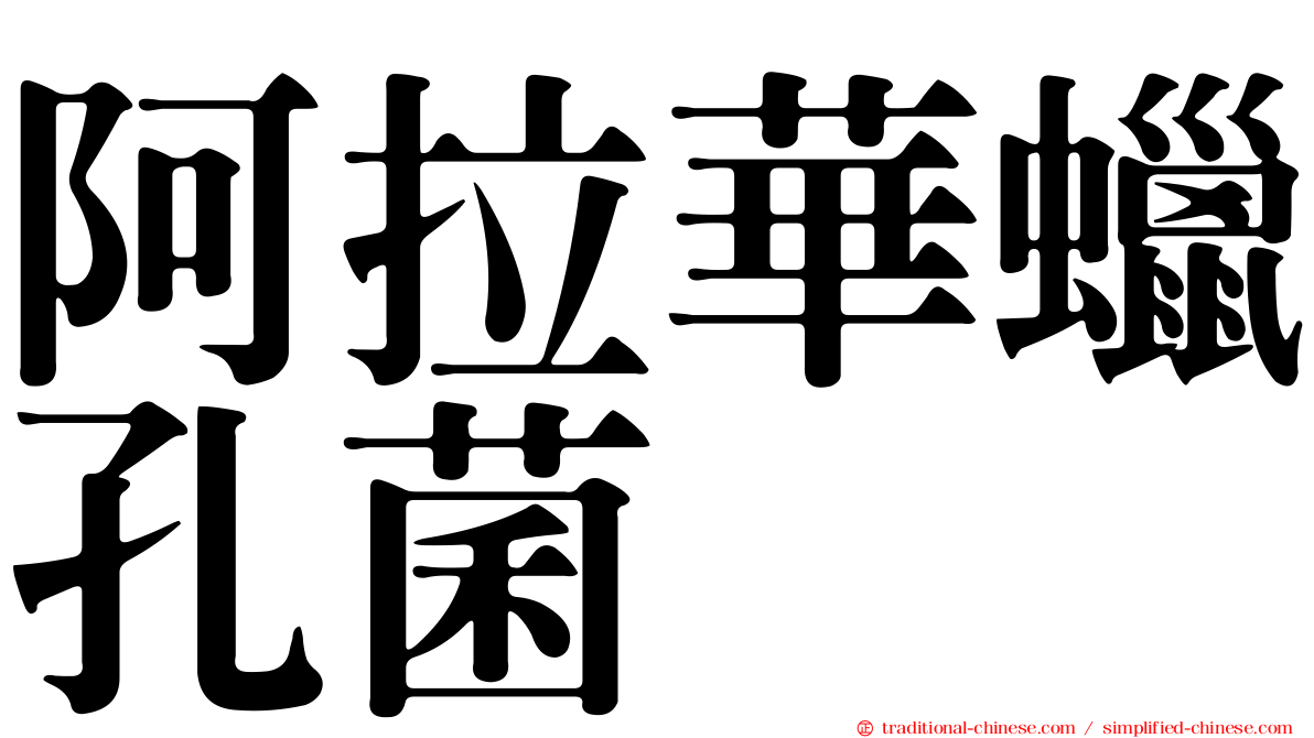 阿拉華蠟孔菌