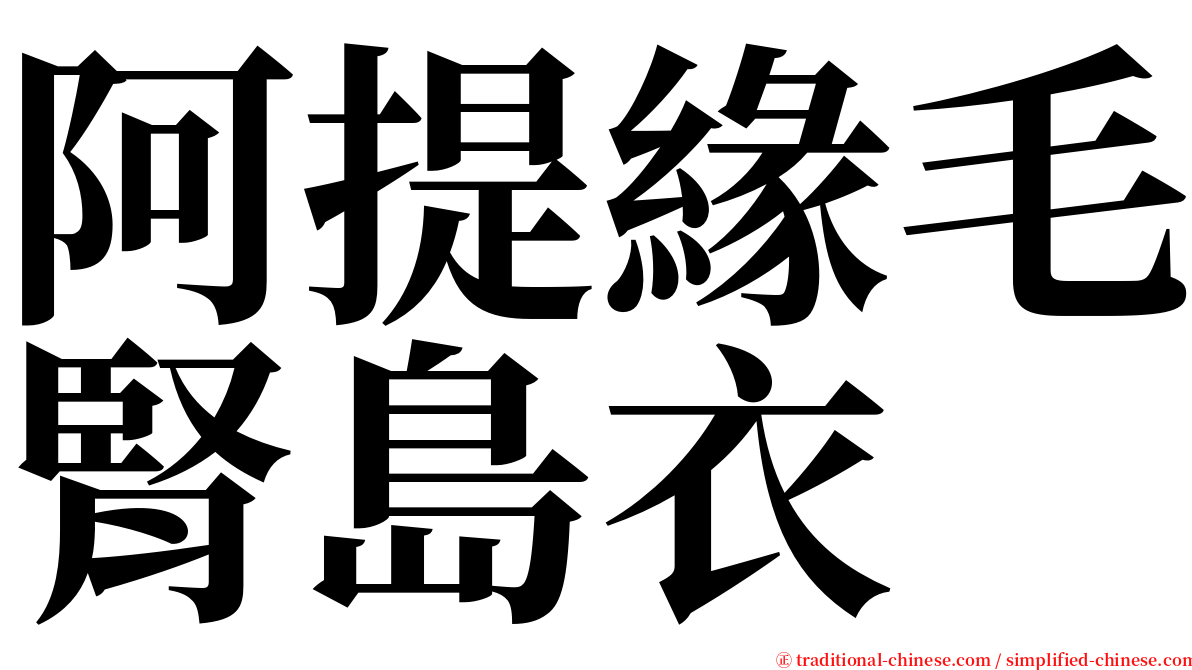 阿提緣毛腎島衣 serif font