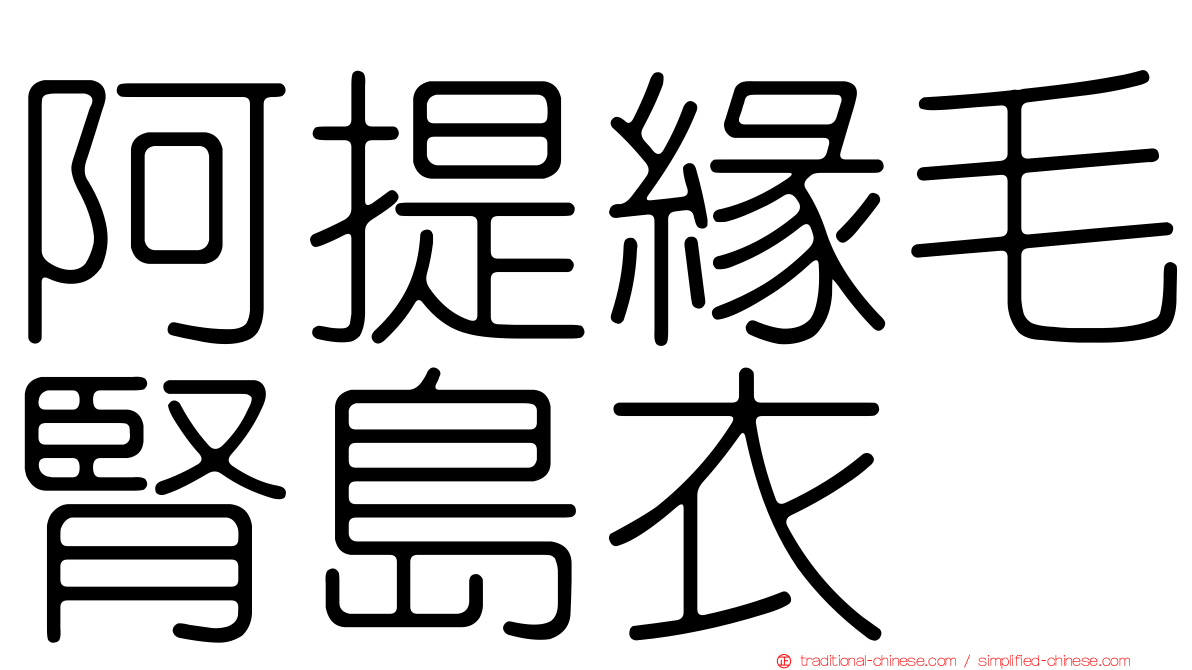 阿提緣毛腎島衣