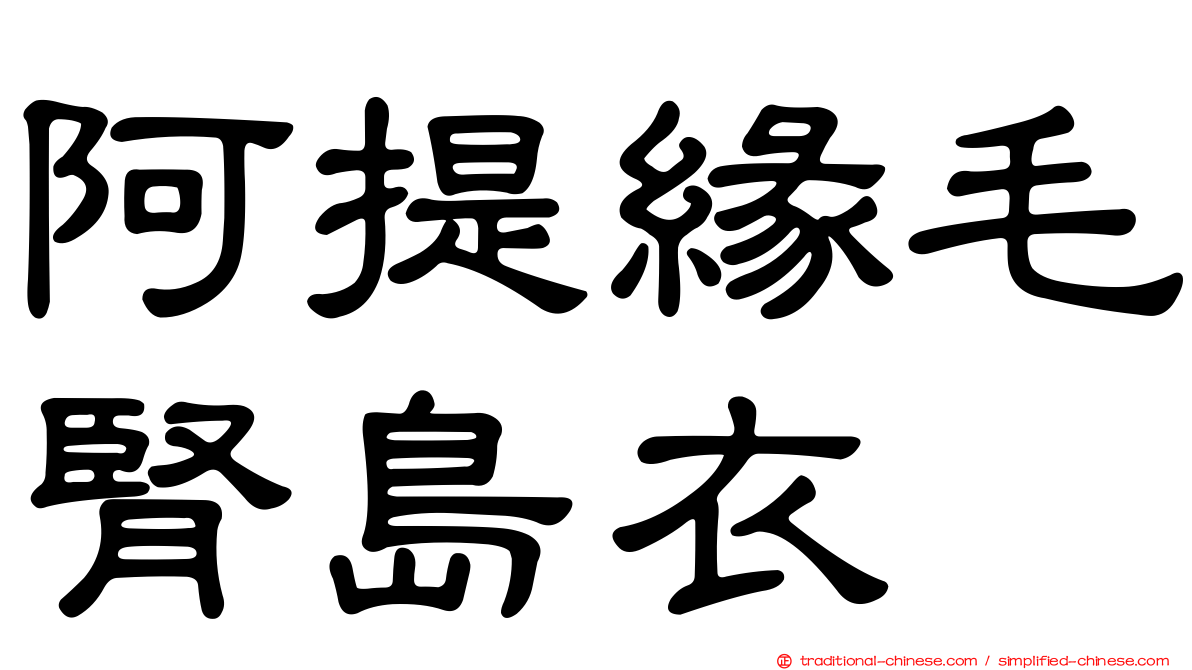 阿提緣毛腎島衣