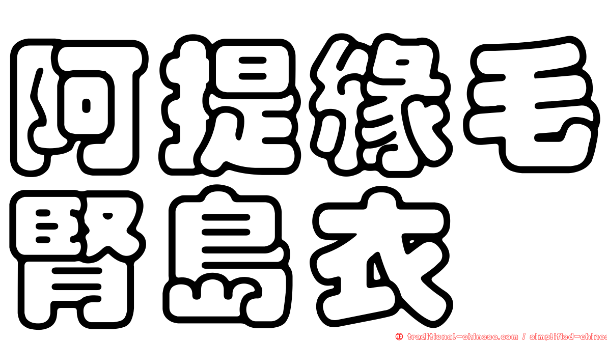 阿提緣毛腎島衣
