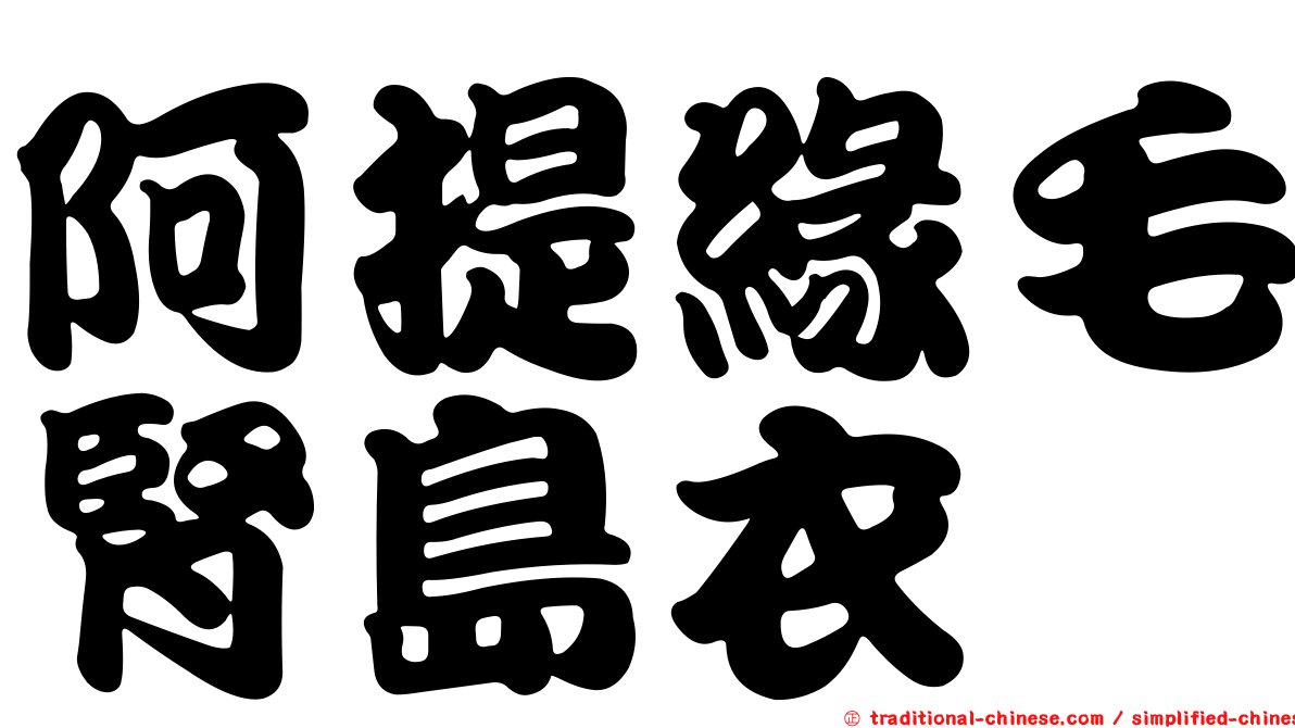 阿提緣毛腎島衣