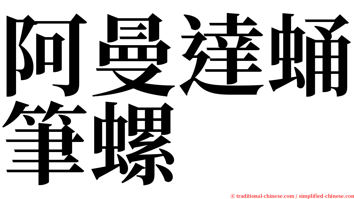阿曼達蛹筆螺 serif font