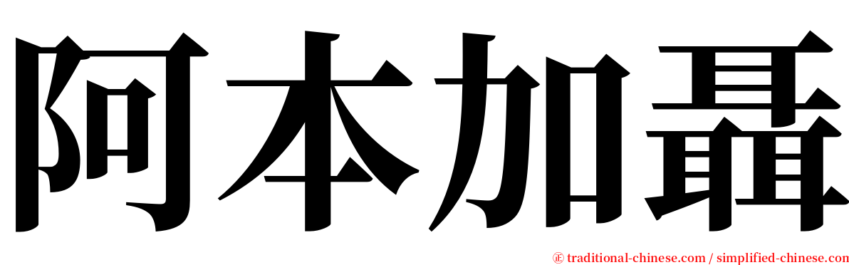 阿本加聶 serif font