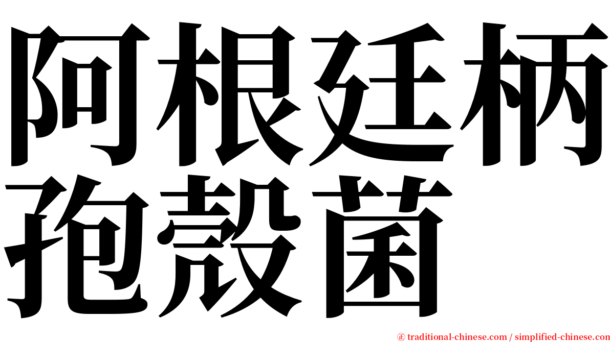 阿根廷柄孢殼菌 serif font