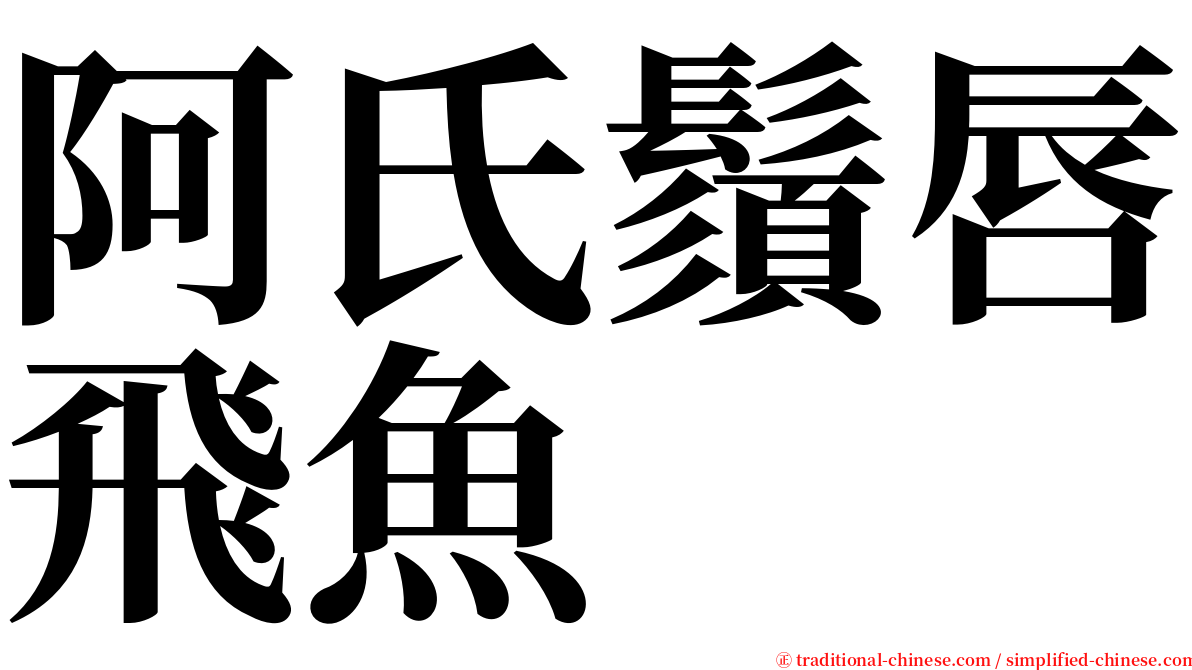 阿氏鬚唇飛魚 serif font