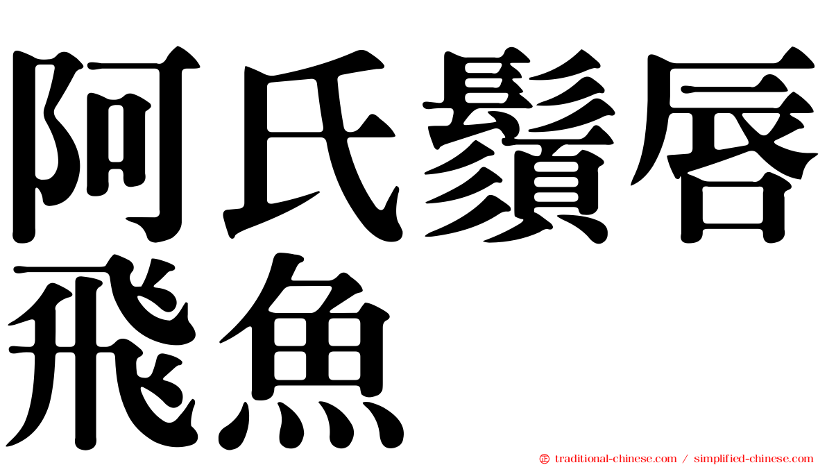 阿氏鬚唇飛魚