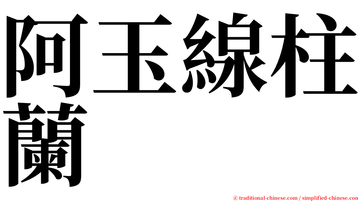 阿玉線柱蘭 serif font