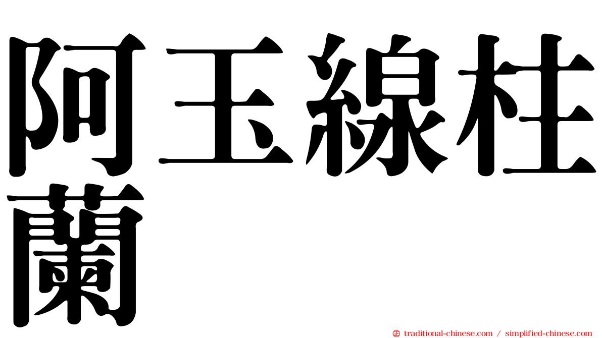 阿玉線柱蘭