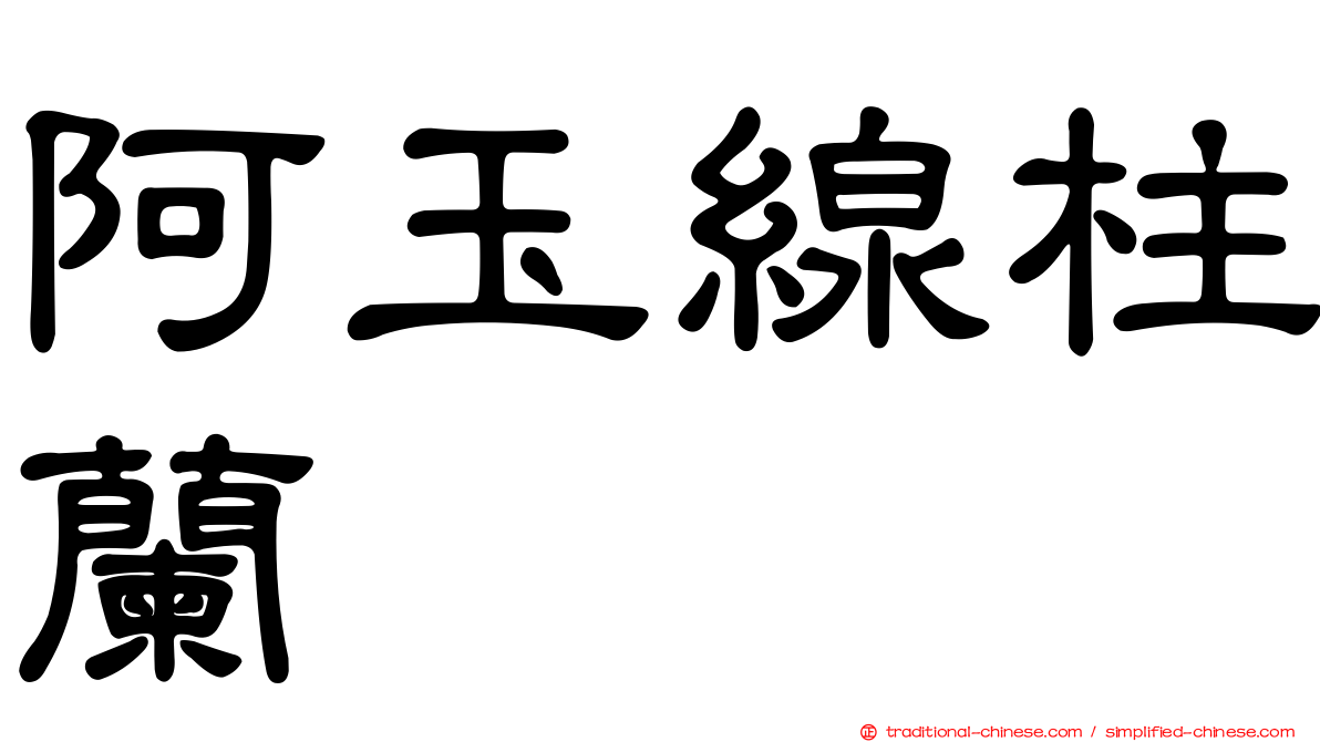 阿玉線柱蘭