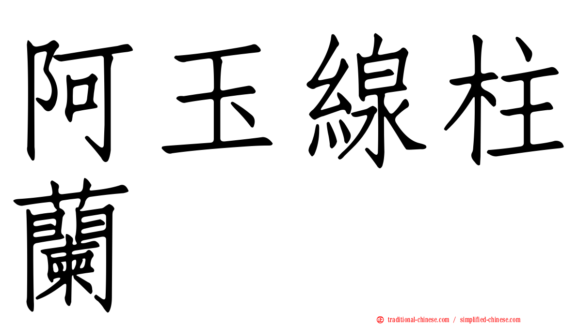 阿玉線柱蘭