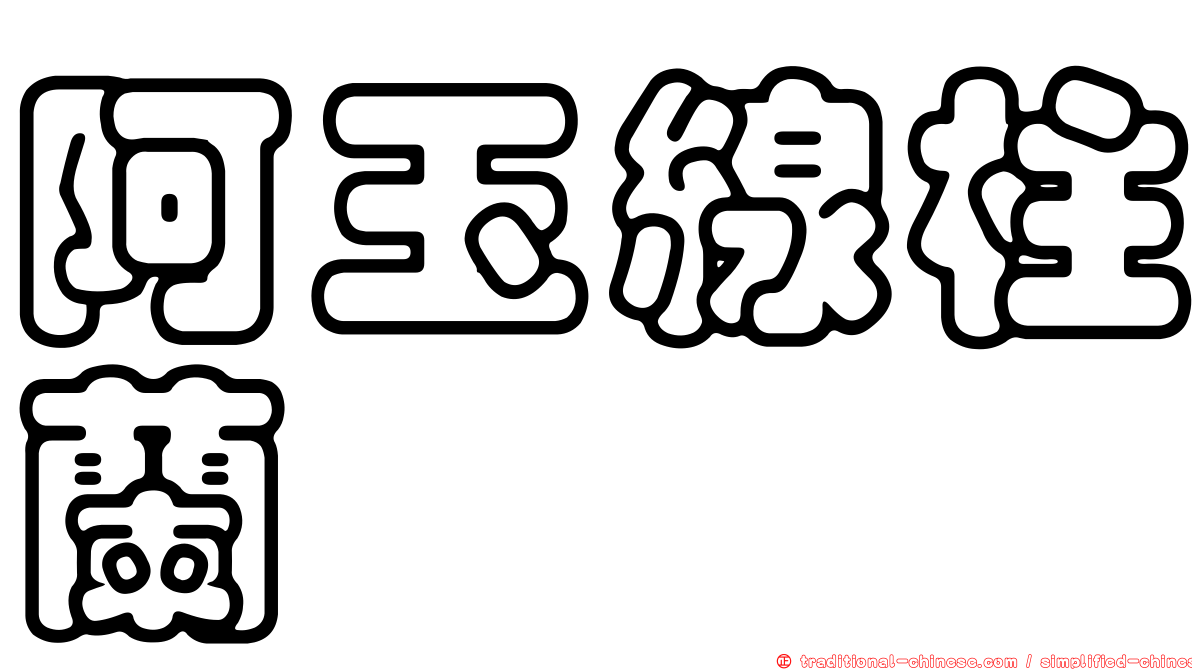 阿玉線柱蘭