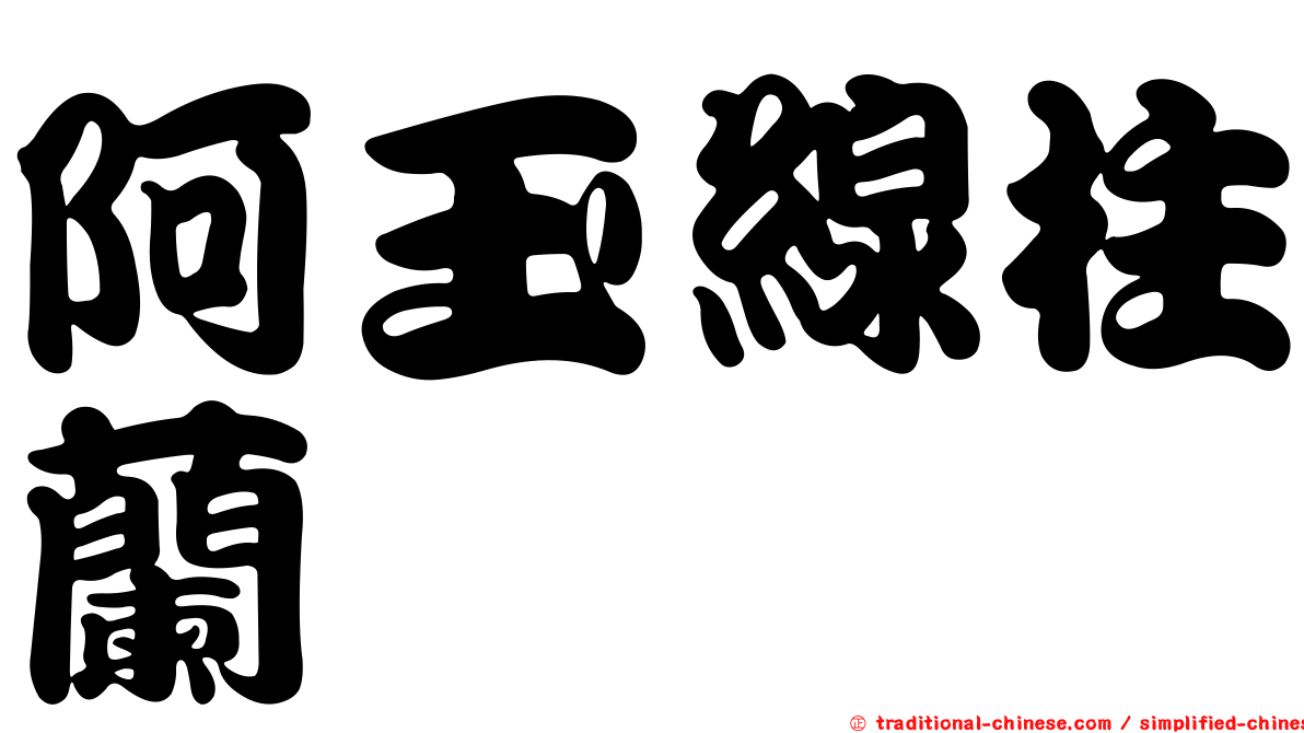 阿玉線柱蘭