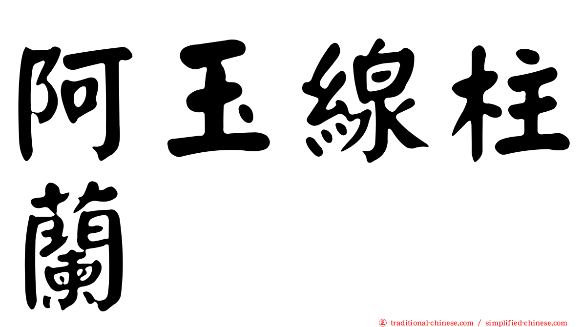 阿玉線柱蘭