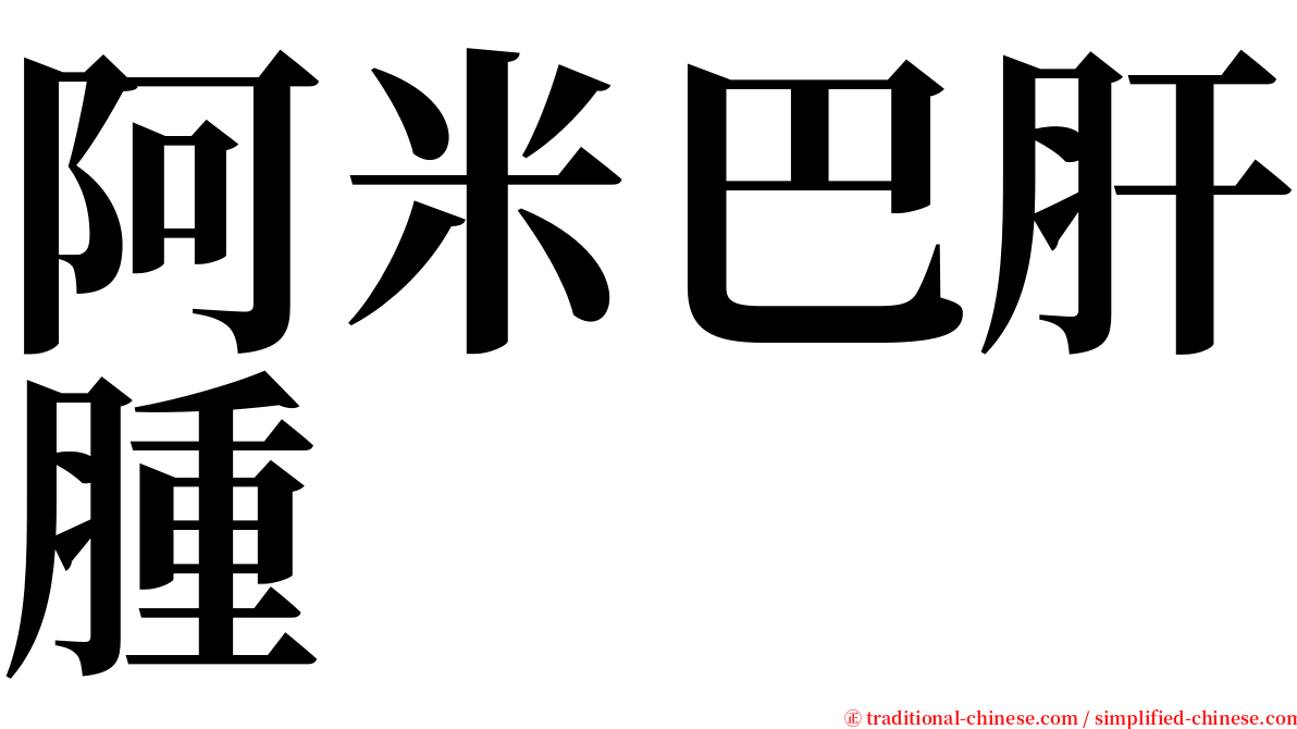 阿米巴肝腫 serif font