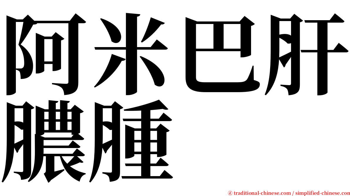 阿米巴肝膿腫 serif font