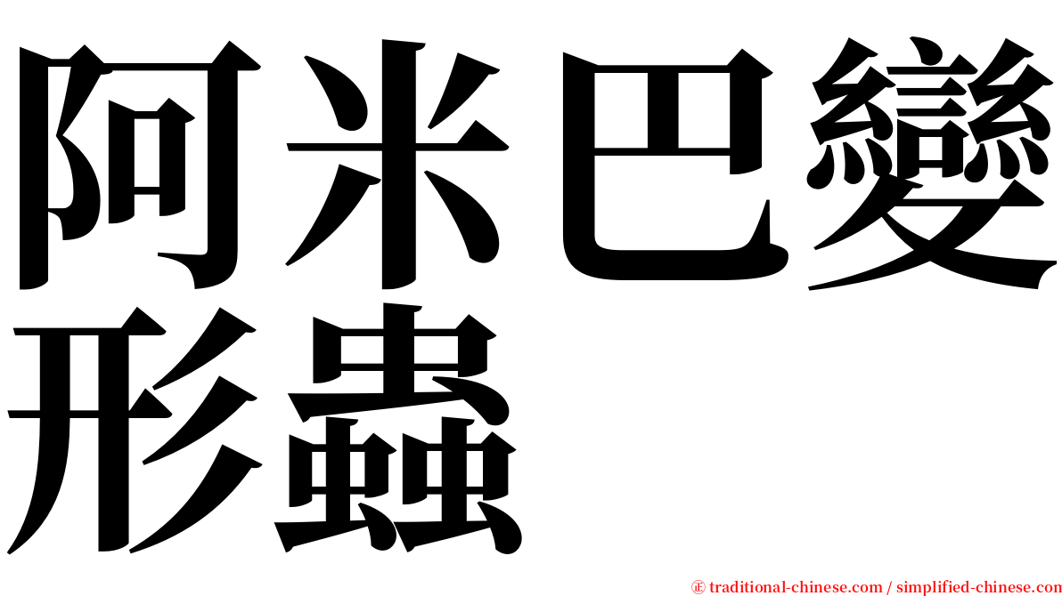 阿米巴變形蟲 serif font
