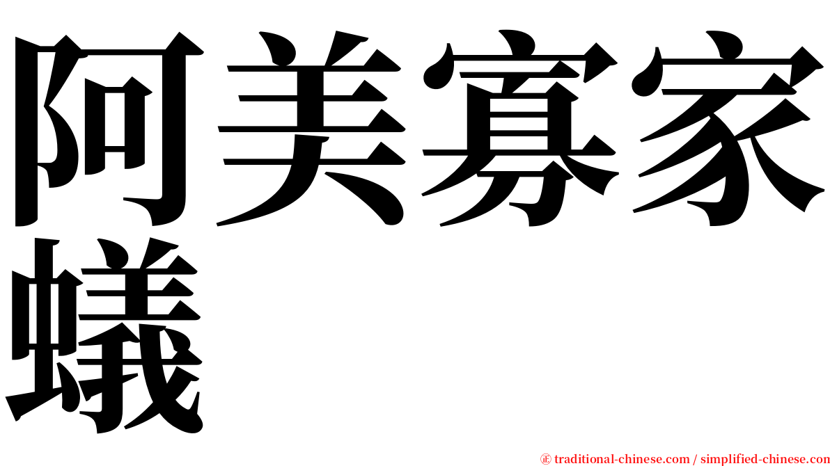 阿美寡家蟻 serif font