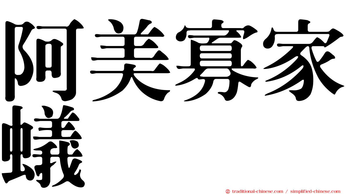 阿美寡家蟻