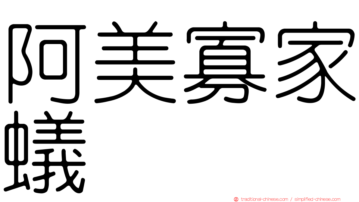 阿美寡家蟻