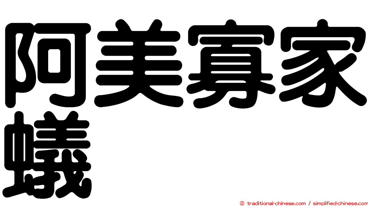 阿美寡家蟻