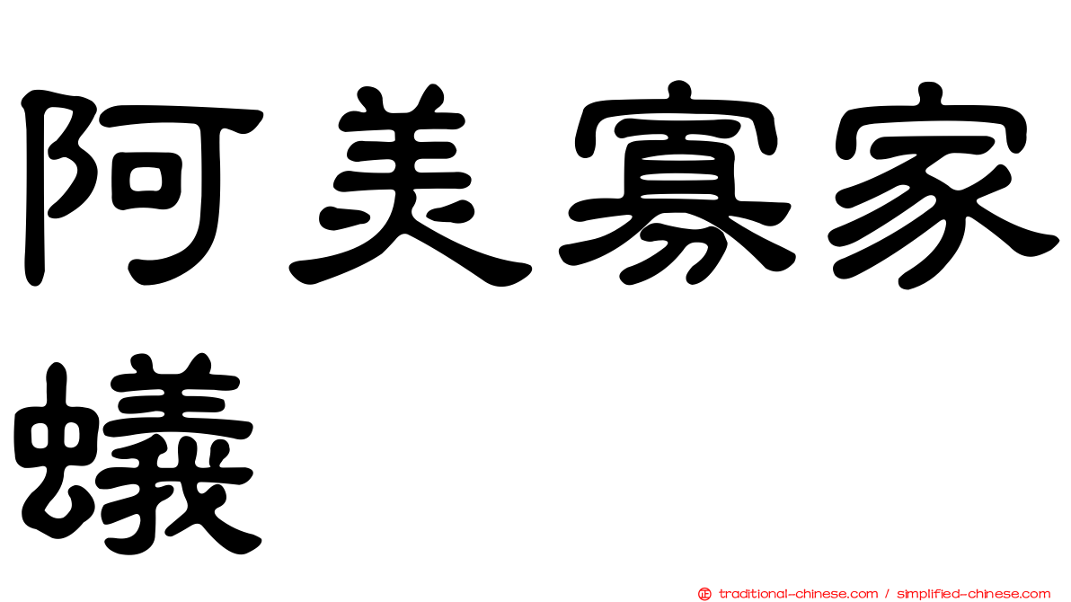 阿美寡家蟻