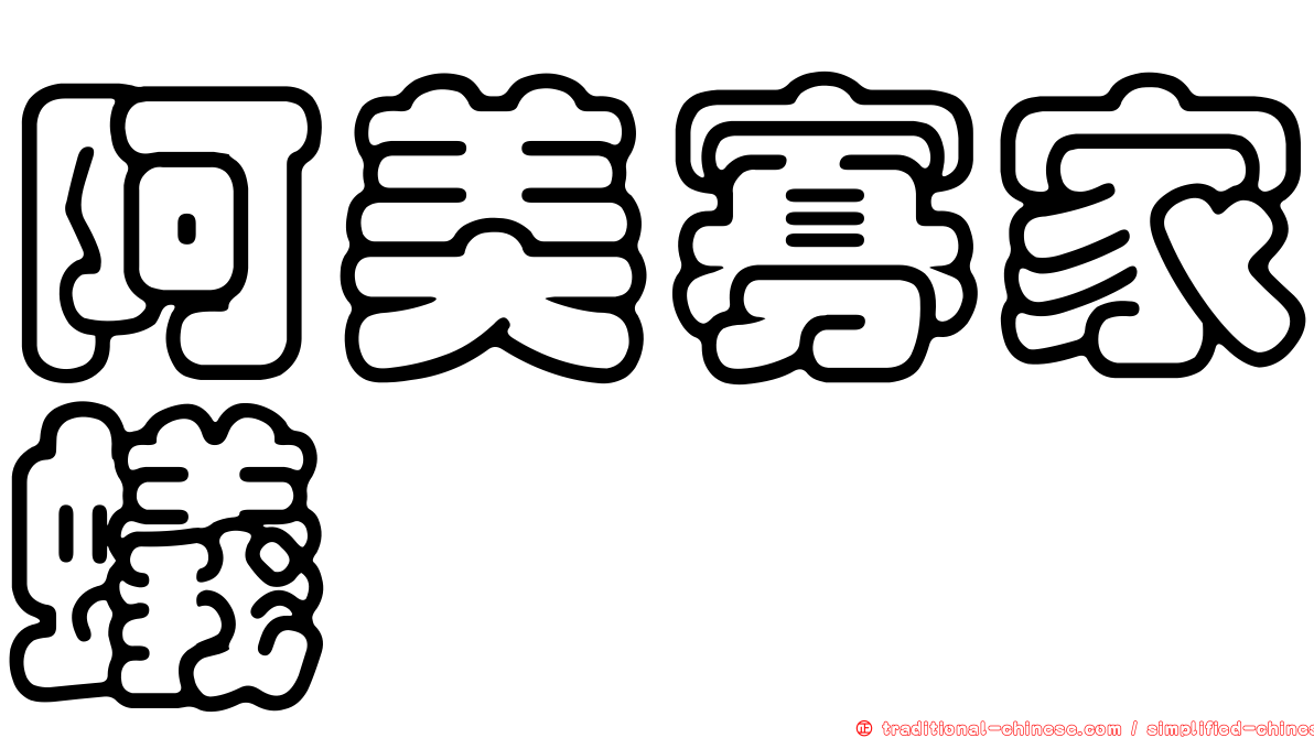 阿美寡家蟻