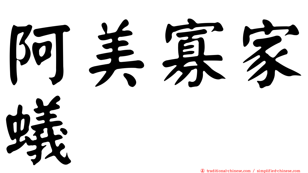 阿美寡家蟻