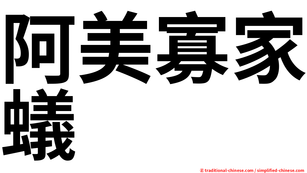阿美寡家蟻