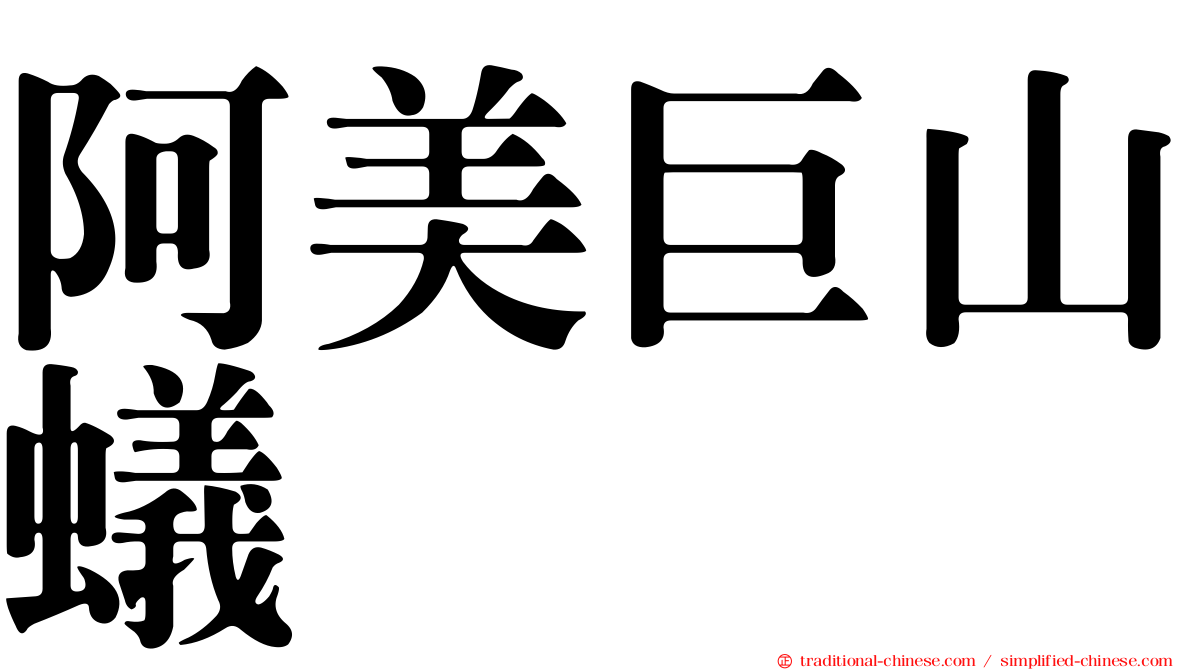 阿美巨山蟻