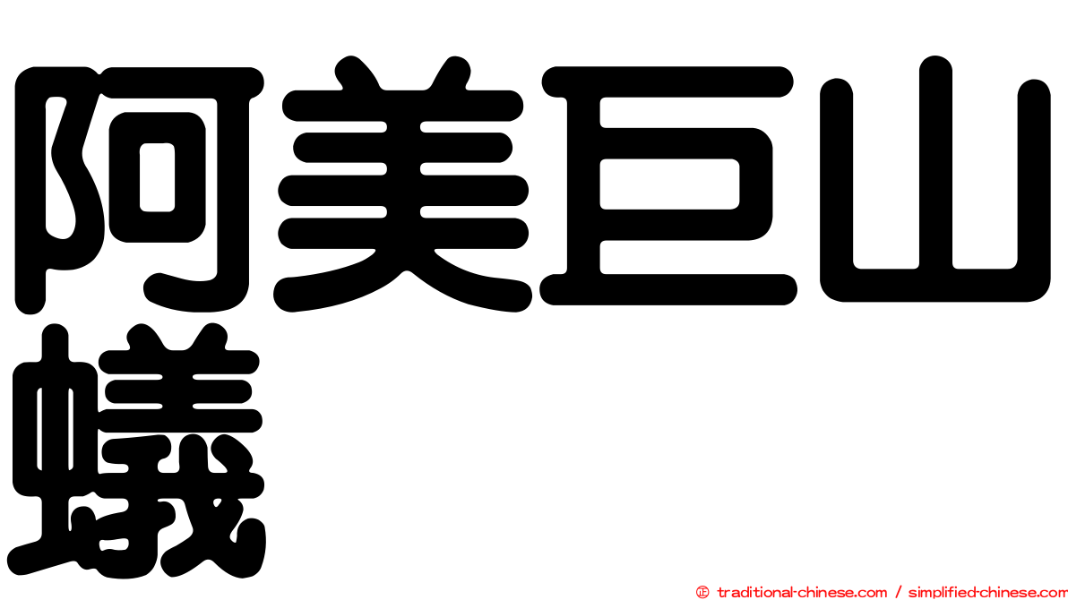 阿美巨山蟻