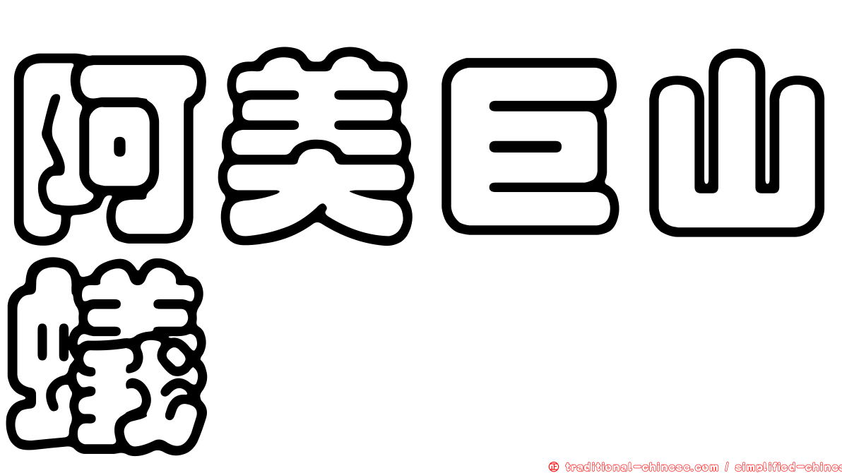 阿美巨山蟻