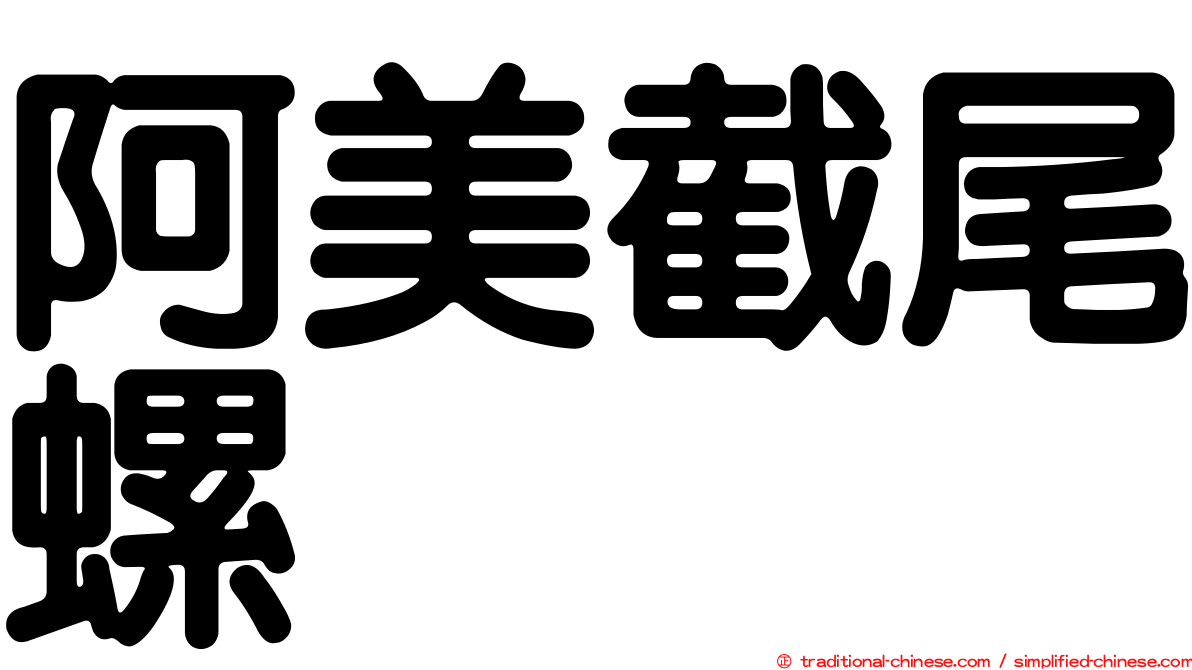 阿美截尾螺