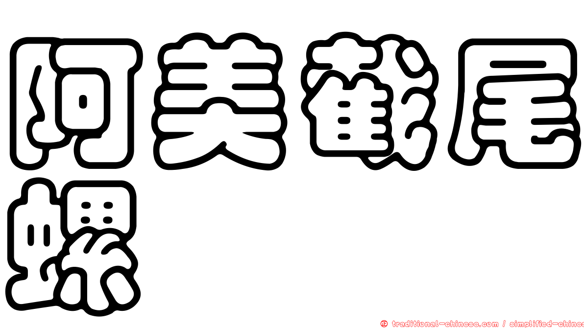 阿美截尾螺