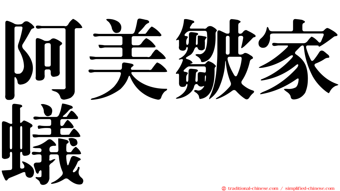 阿美皺家蟻