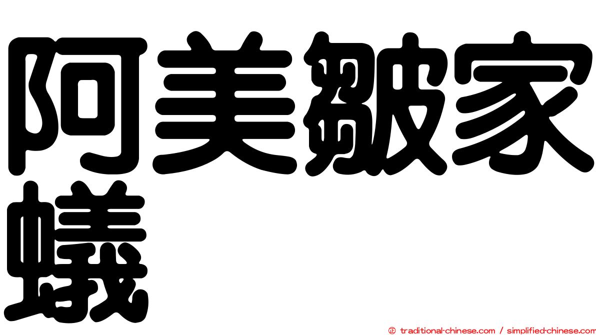 阿美皺家蟻