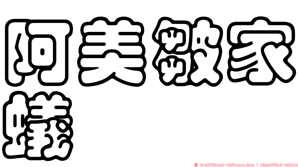 阿美皺家蟻
