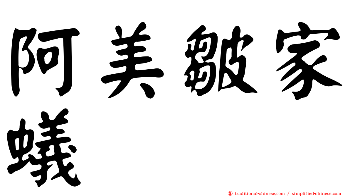 阿美皺家蟻