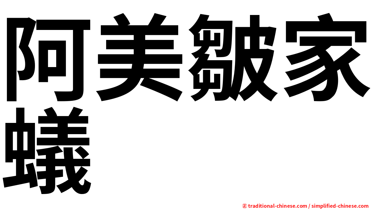 阿美皺家蟻