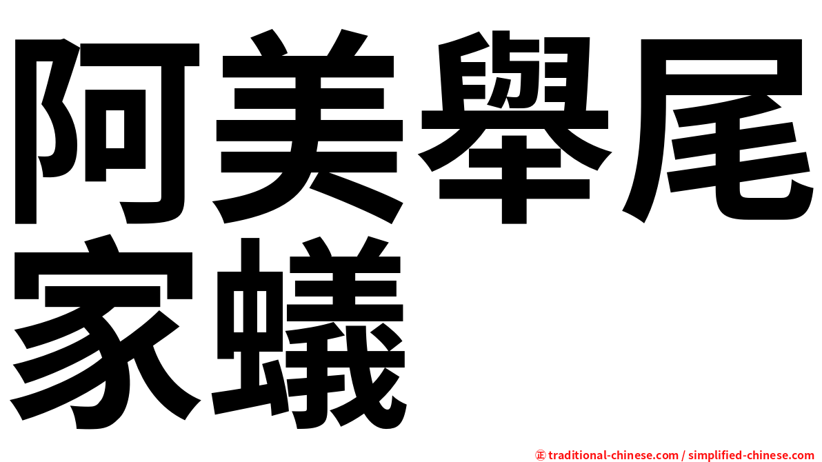 阿美舉尾家蟻
