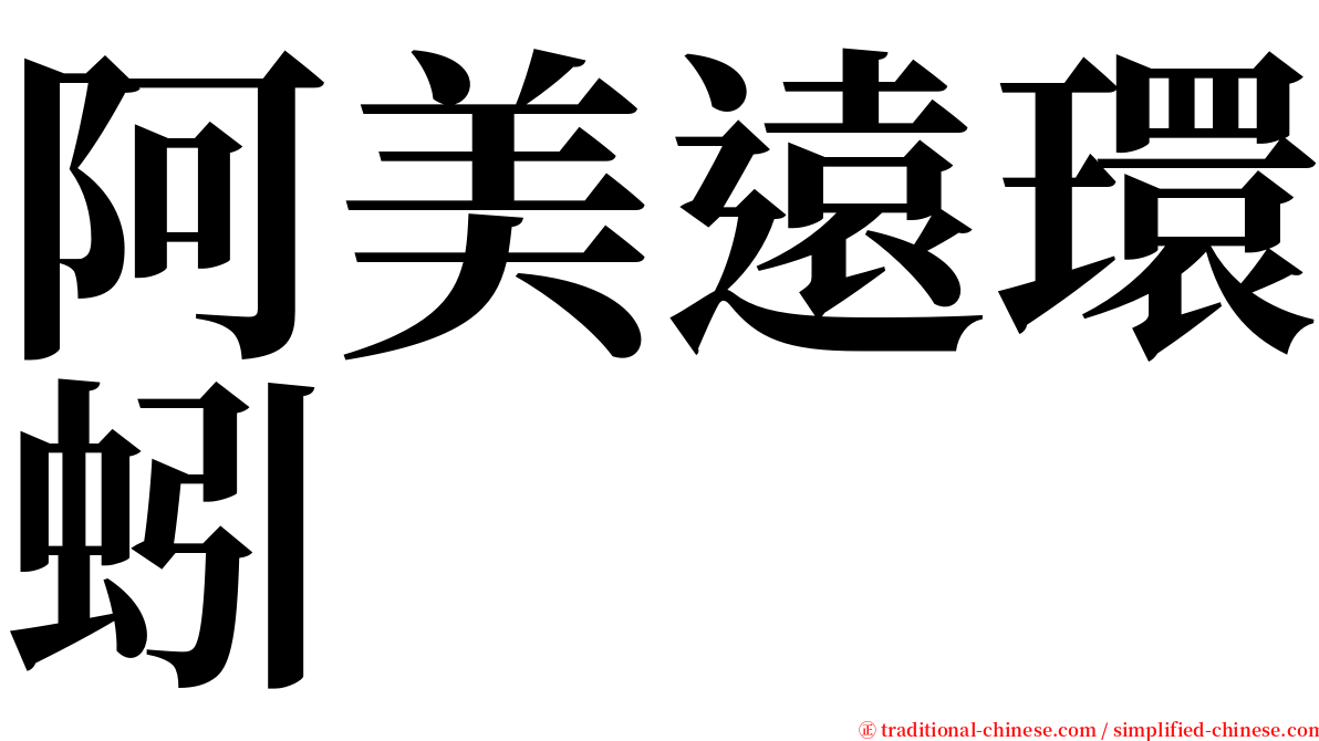 阿美遠環蚓 serif font